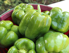 green-peppers-enews.jpg