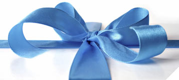 Holiday Gift Bow Blue